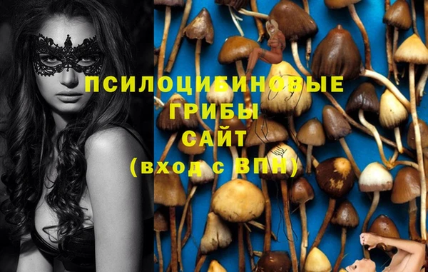 тгк Володарск