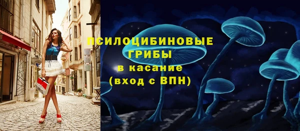 а пвп мука Верхний Тагил